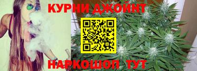 индика Ливны